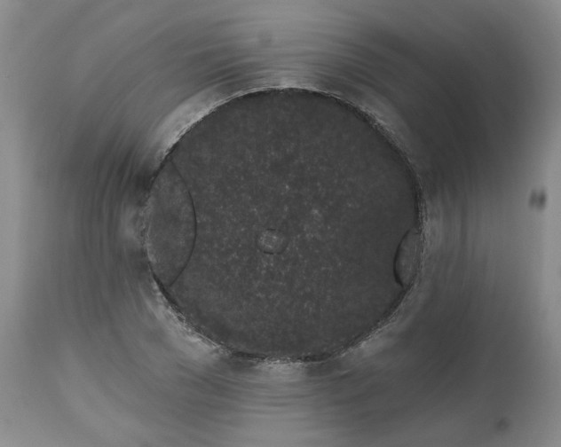 X0000112520977200908311353