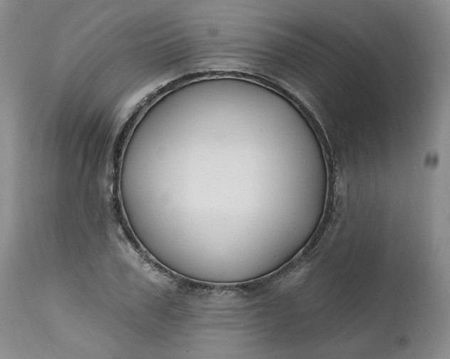 X0000112520979200908311353