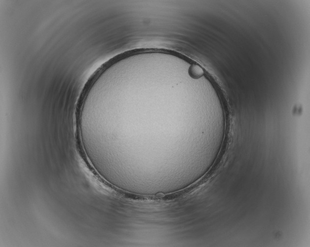 X0000112520980200908311353