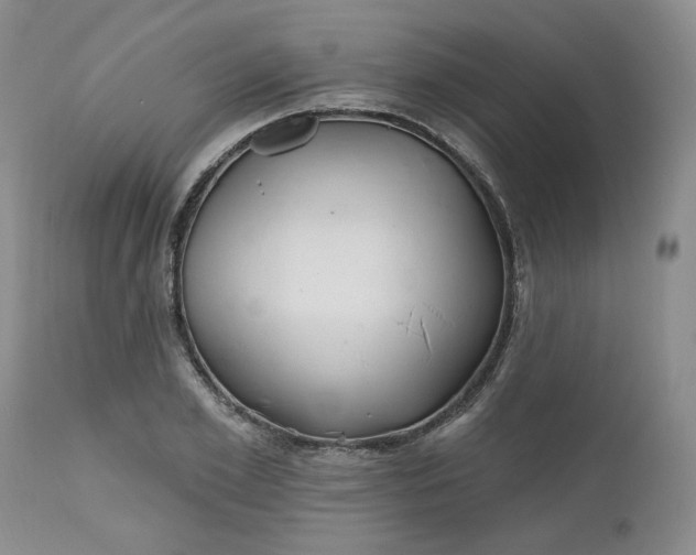 X0000112520981200908311353