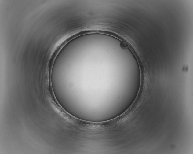 X0000112520982200908311353