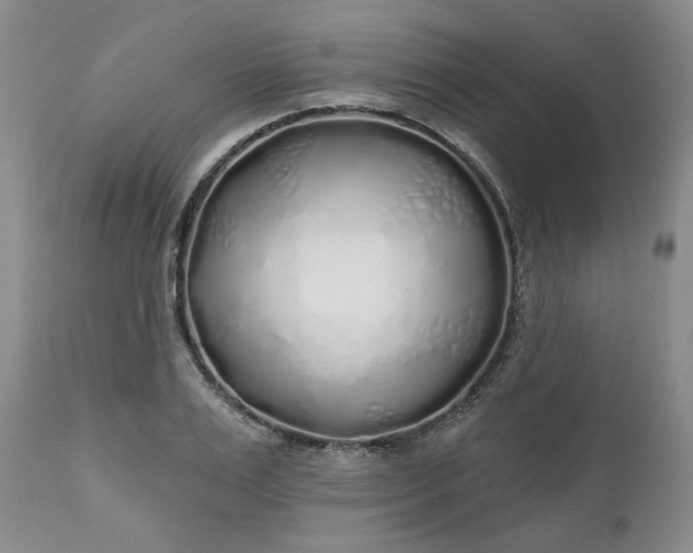 X0000112520983200908311353