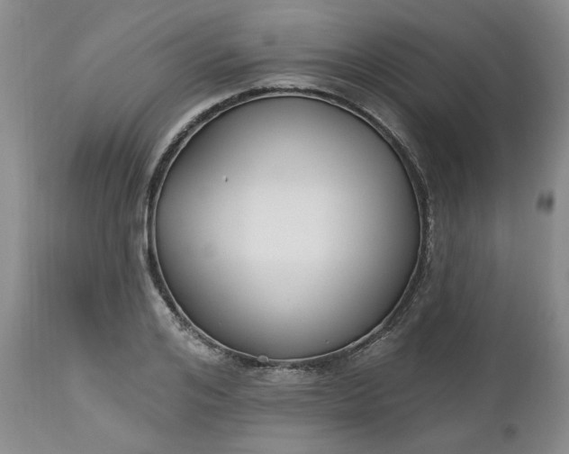 X0000112520984200908311353