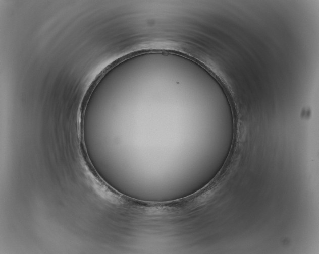 X0000112520988200908311353