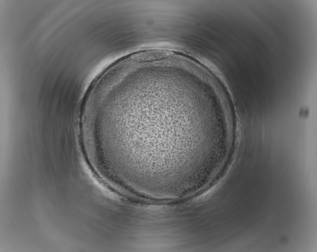 X0000112520989200908311353