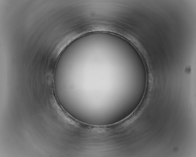 X0000112520993200908311353