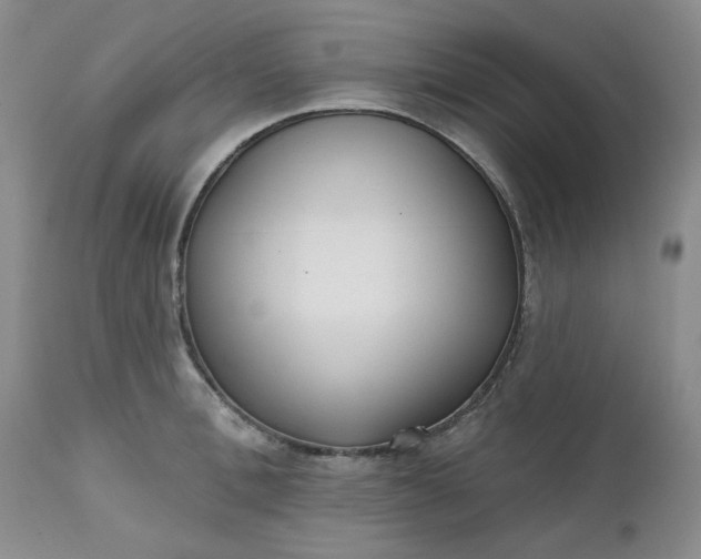 X0000112520996200908311353