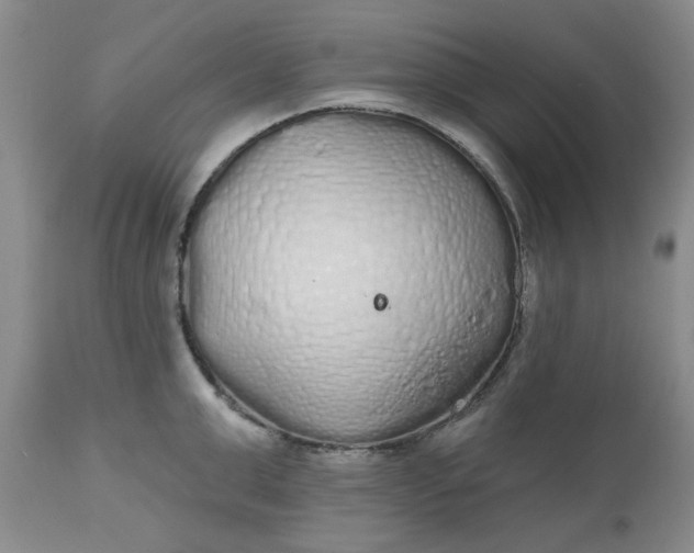 X0000112520999200908311353