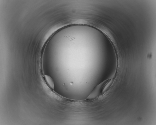 X0000112521000200908311353