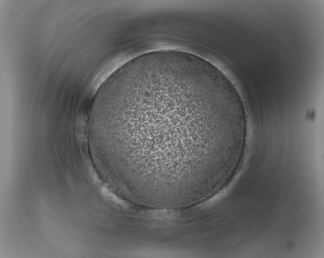 X0000112521001200908311353