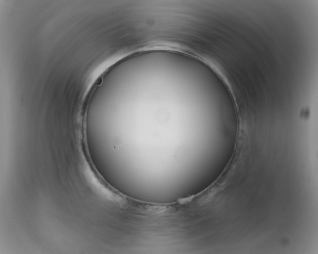 X0000112521003200908311353