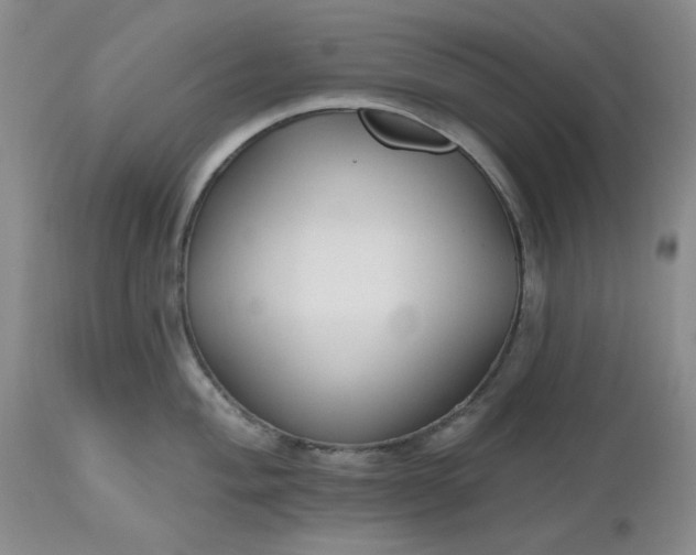 X0000112521004200908311353