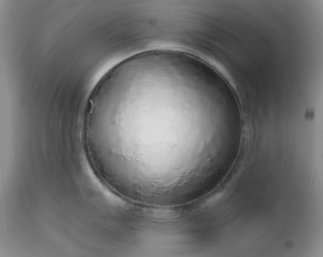 X0000112521007200908311353