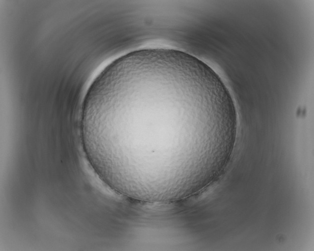 X0000112521008200908311353