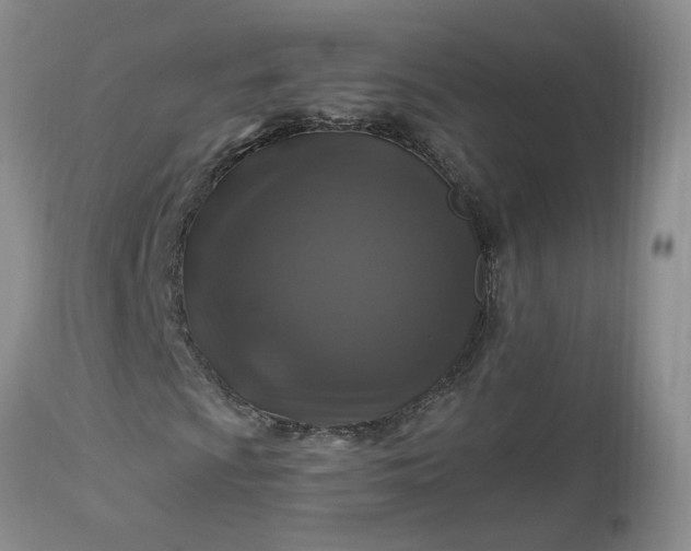 X0000112521009200908311352