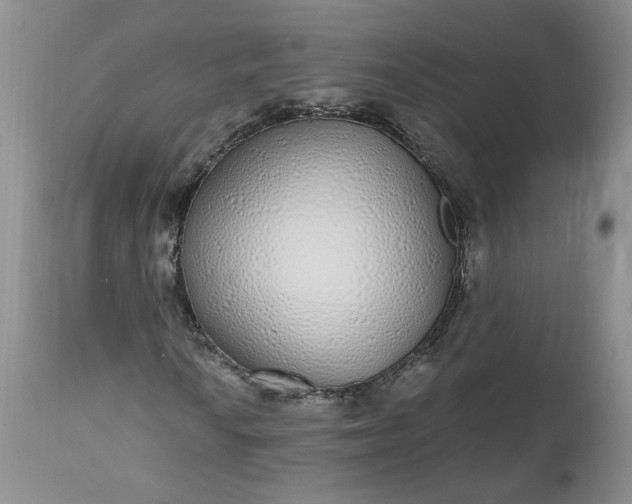 X0000112521010200908311352