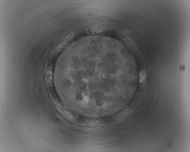 X0000112521011200908311352