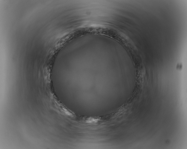 X0000112521013200908311352