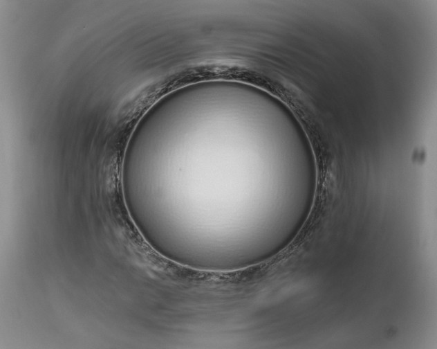 X0000112521014200908311352