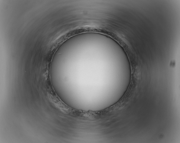 X0000112521015200908311352