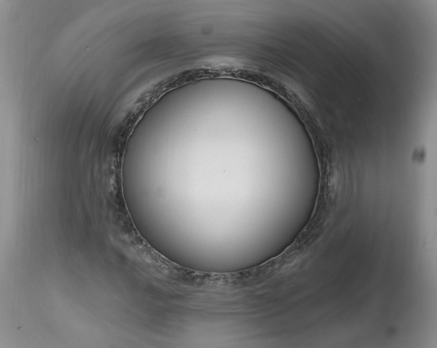 X0000112521016200908311352