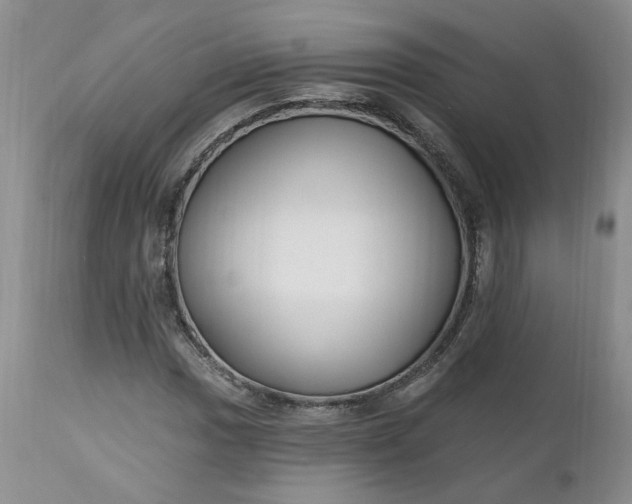 X0000112521017200908311352