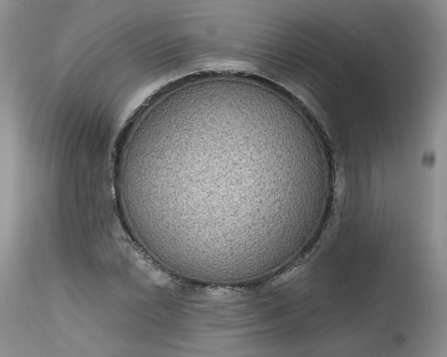 X0000112521022200908311352