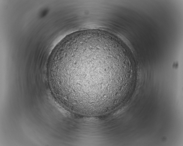 X0000112521023200908311352