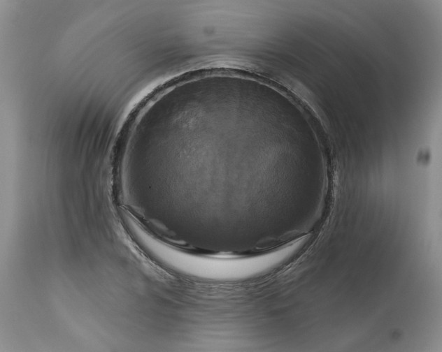 X0000112521024200908311352