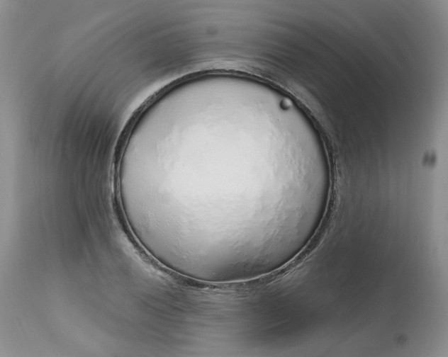 X0000112521028200908311352
