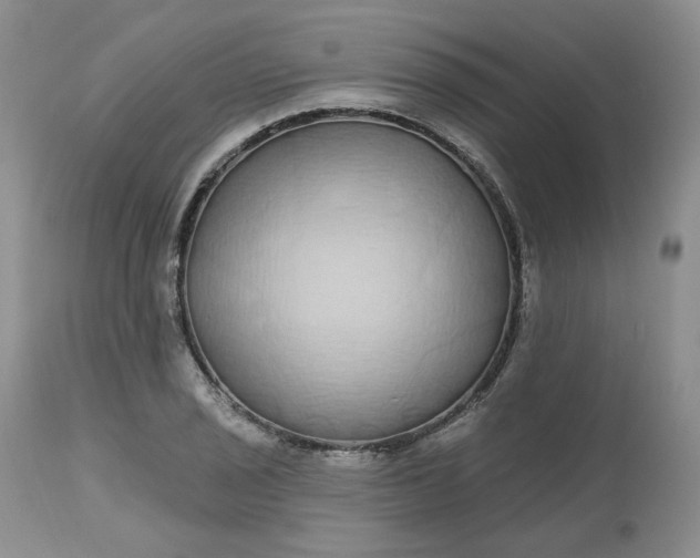 X0000112521029200908311353