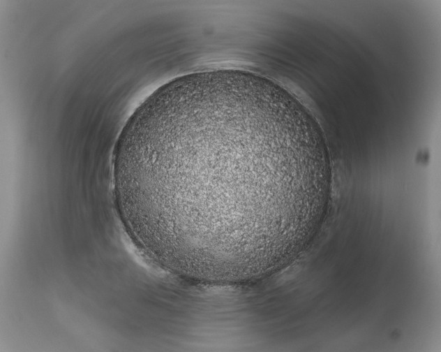 X0000112521031200908311353
