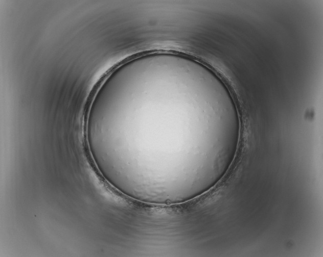 X0000112521032200908311353