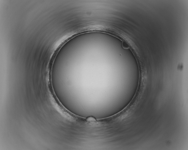 X0000112521034200908311353