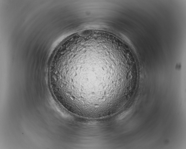 X0000112521035200908311353