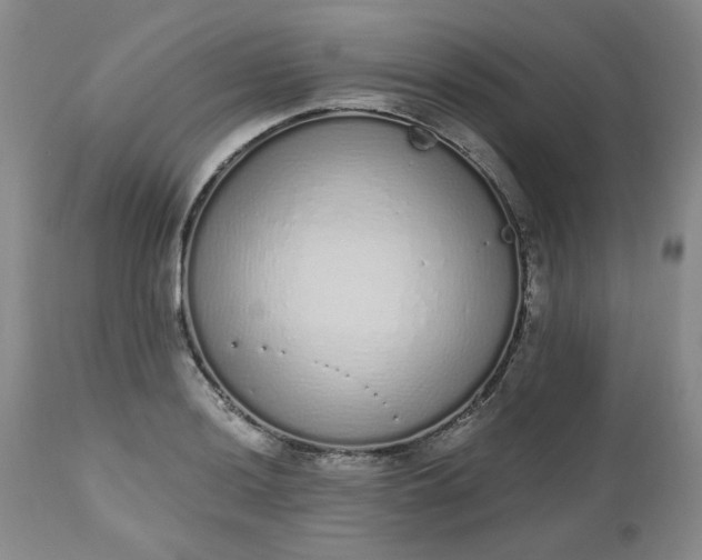X0000112521036200908311353