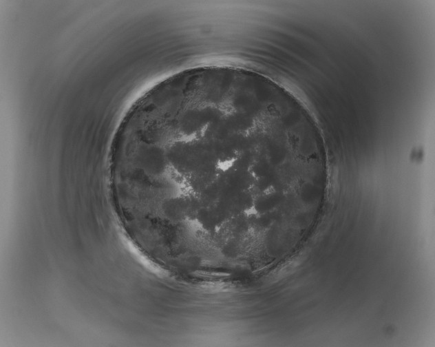 X0000112521037200908311353