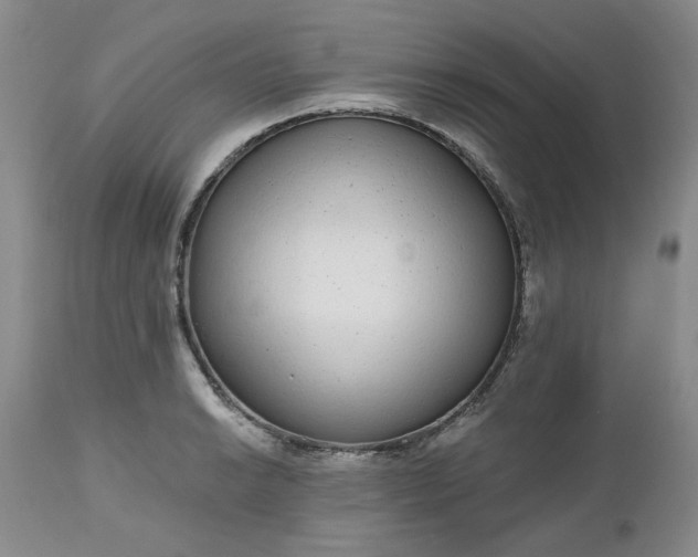 X0000112521038200908311353