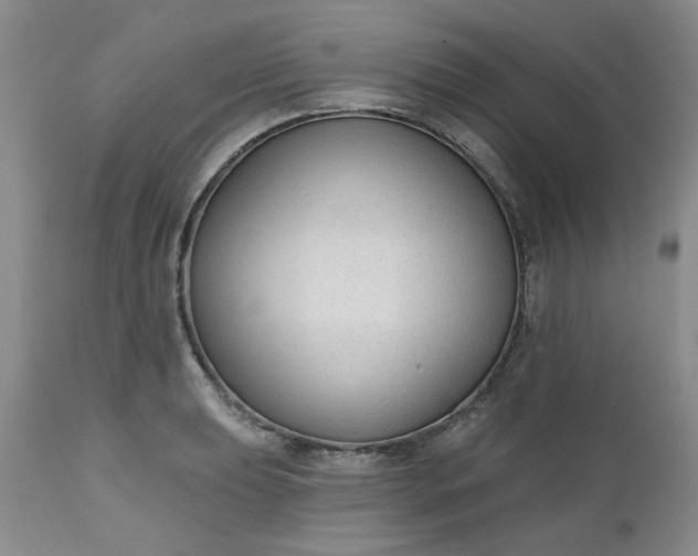 X0000112521039200908311353
