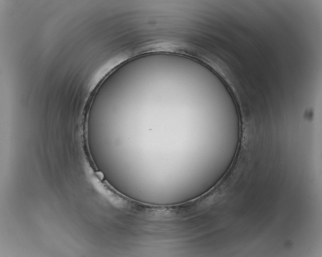 X0000112521042200908311353