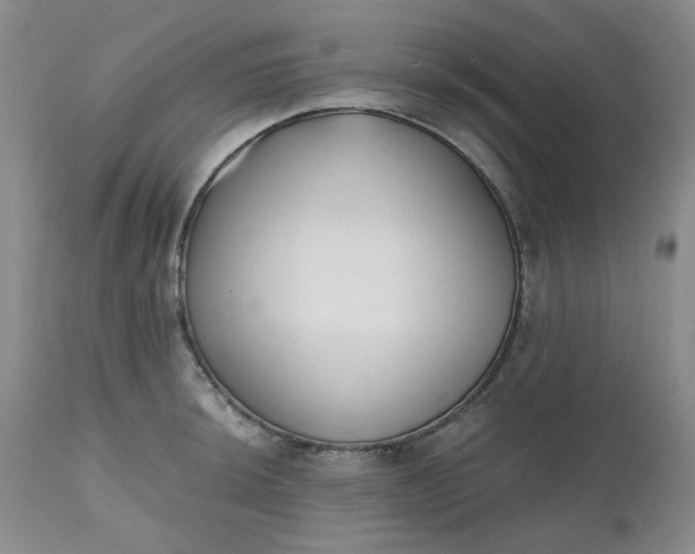 X0000112521044200908311353