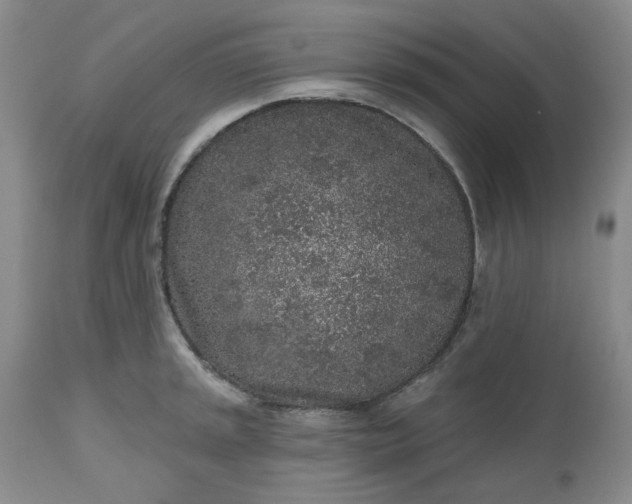 X0000112521045200908311353