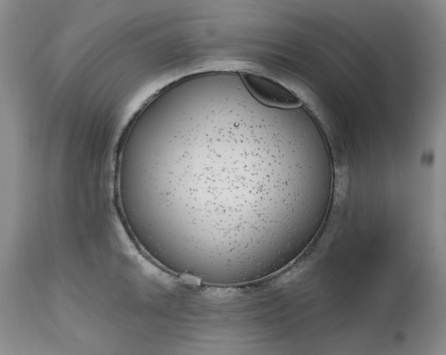 X0000112521046200908311353