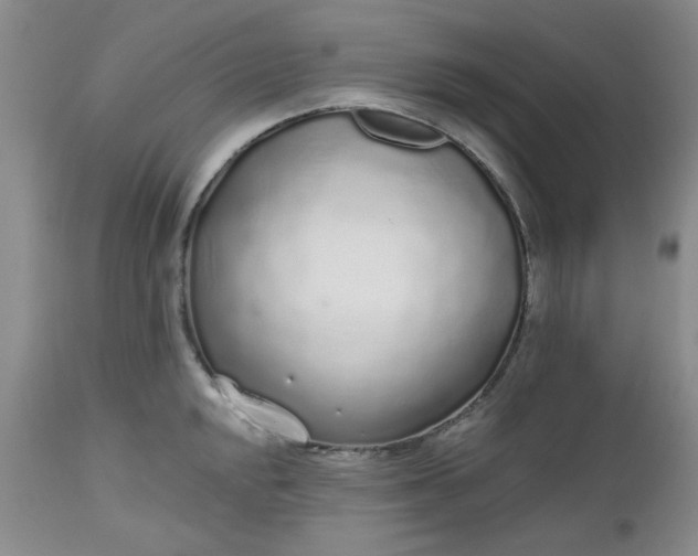 X0000112521048200908311353
