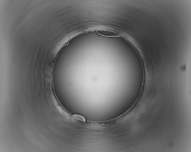 X0000112521049200908311353