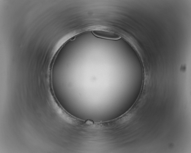 X0000112521050200908311353