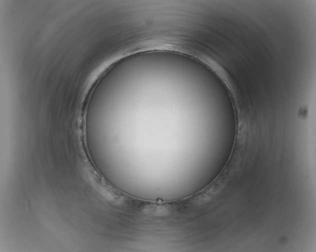 X0000112521051200908311353