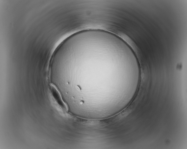 X0000112521052200908311353