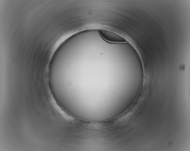 X0000112521053200908311353
