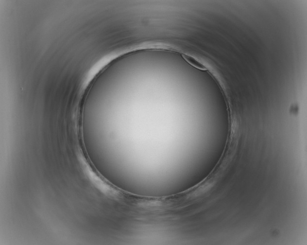 X0000112521054200908311353